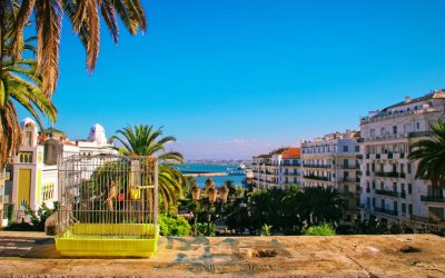 Which is the Fastest Internet Speed in Algeria in 2025?