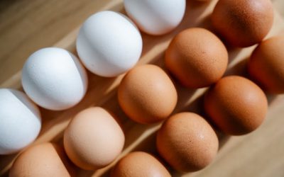 Why Did People Start Eating Chicken Eggs? — The History of Chicken Eggs