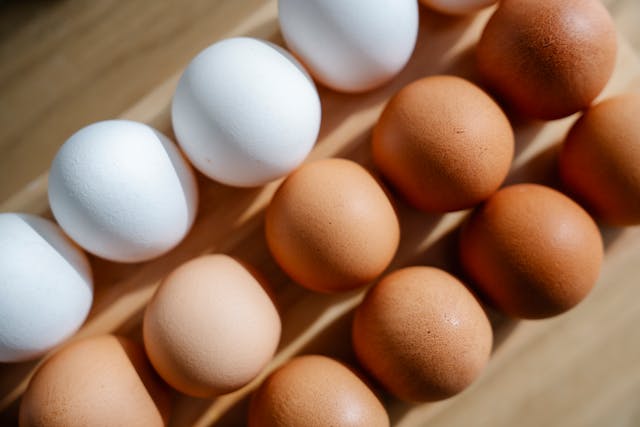 Why Did People Start Eating Chicken Eggs? — The History of Chicken Eggs